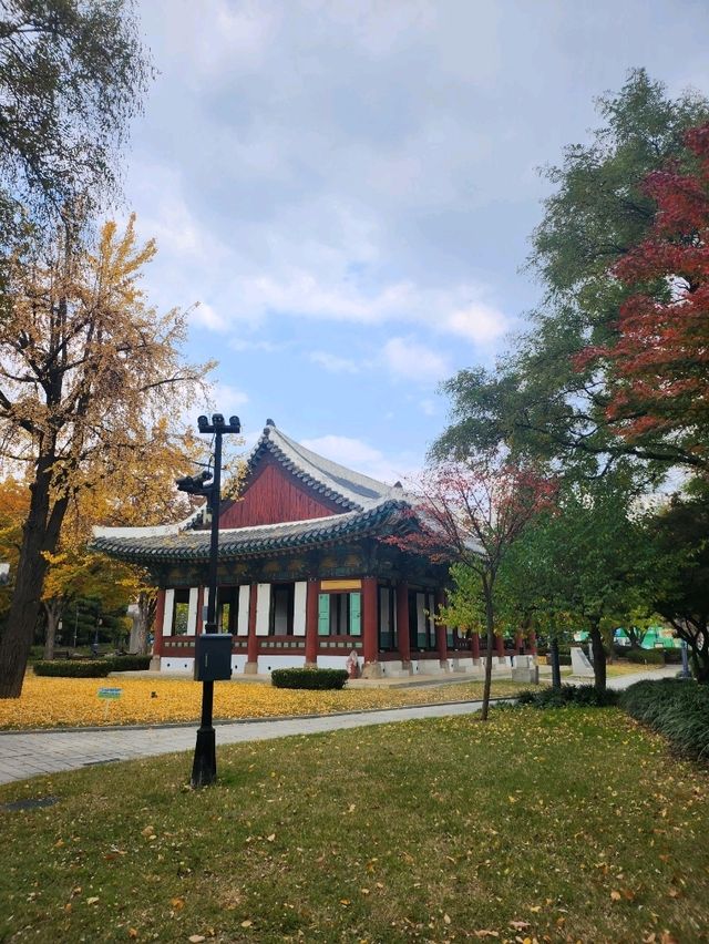 연인과 가을에 힐링하기 좋은 경상감영공원🍂