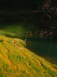 Exploring Allgäu: A Bavarian Alpine Dream