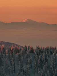 Falling in Love with the Black Forest in Winter 