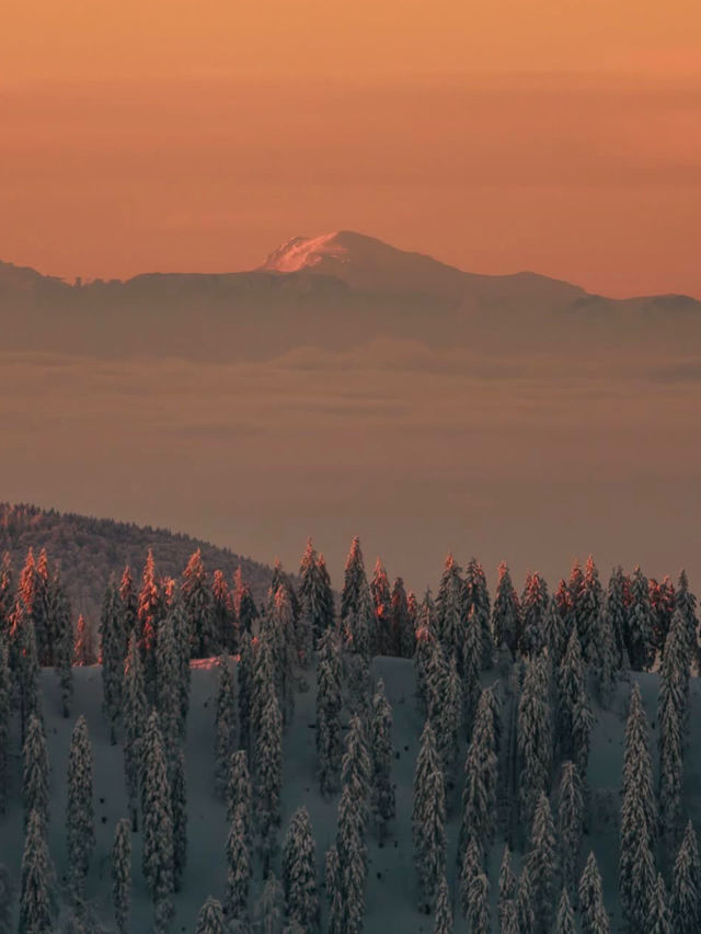Falling in Love with the Black Forest in Winter 