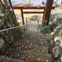 有馬溫泉銀杏秘境 〔潼本神社〕