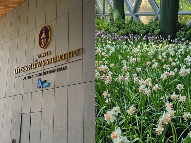 สัมผัสพรรณไม้เมืองหนาวในแดนร้อน 🌷