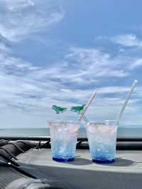 Perfect for summer! Enoshima Aquarium🐠