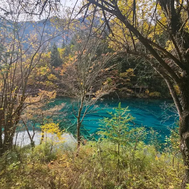 jiuZhaiGou Beautiful Fairytale World