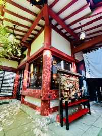 【日本伊東】來宮神社：日本能量景點，樹齡超過2000年的巨楠