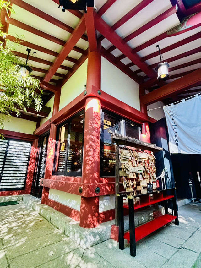 【日本伊東】來宮神社：日本能量景點，樹齡超過2000年的巨楠