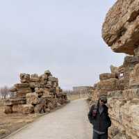 พิพิธภัณท์ ไดโนเสาร์ เมือง erlian