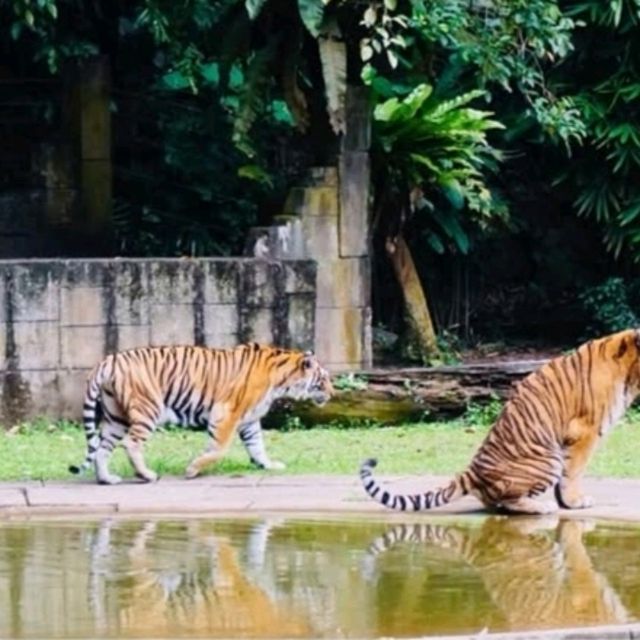 Enjoy This moment at Tambun Lost World