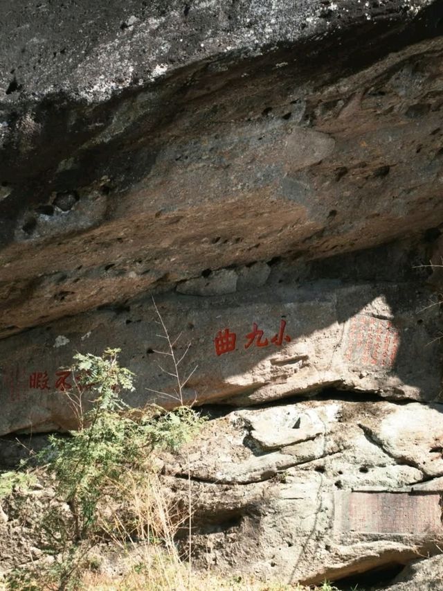 茶故鄉地的溫感與美態