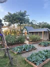 Audrey Hobby Farm เปิดปีละครั้ง!❣️