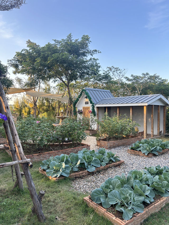 Audrey Hobby Farm เปิดปีละครั้ง!❣️