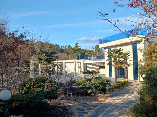 진주 내동에 숨겨진 보석 같은 카페, 산뷰 카페 소담원 🌿☕️! 