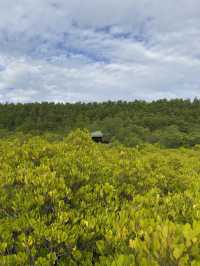 Tung Prong Thong: A Golden Eco-Adventure