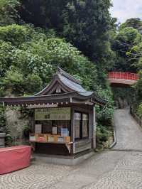 Enoshima Shrine - Hetsunomiya, Japan