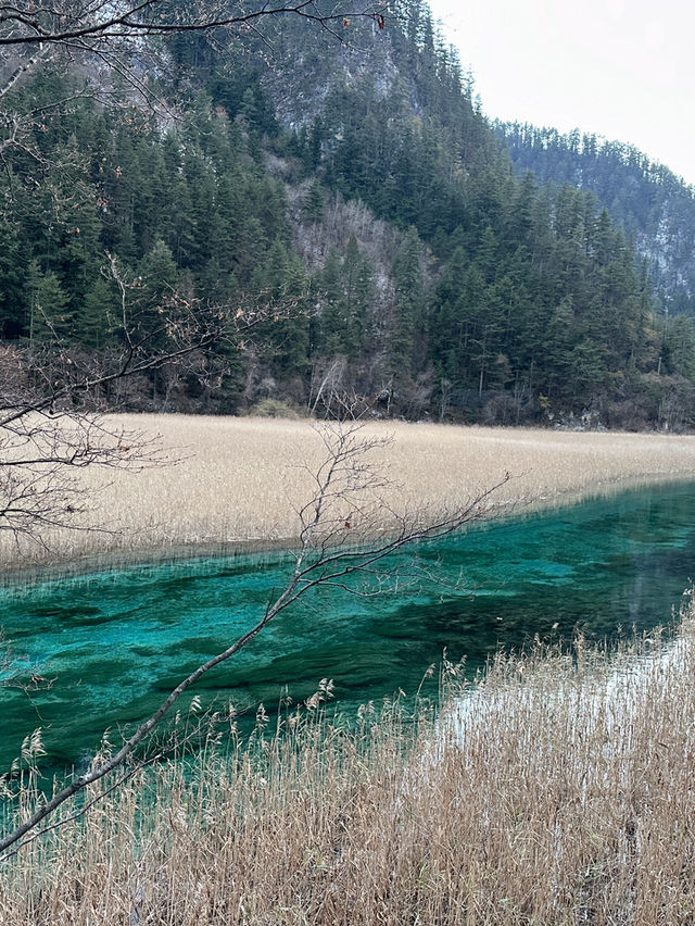 Jiuzhaigou: Nature’s Masterpiece 