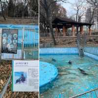 【大邱】無料で楽しめる動物園がある市民憩いの場【達城公園】　