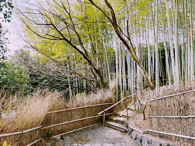 靜謐之境：白鳥庭園的之歌