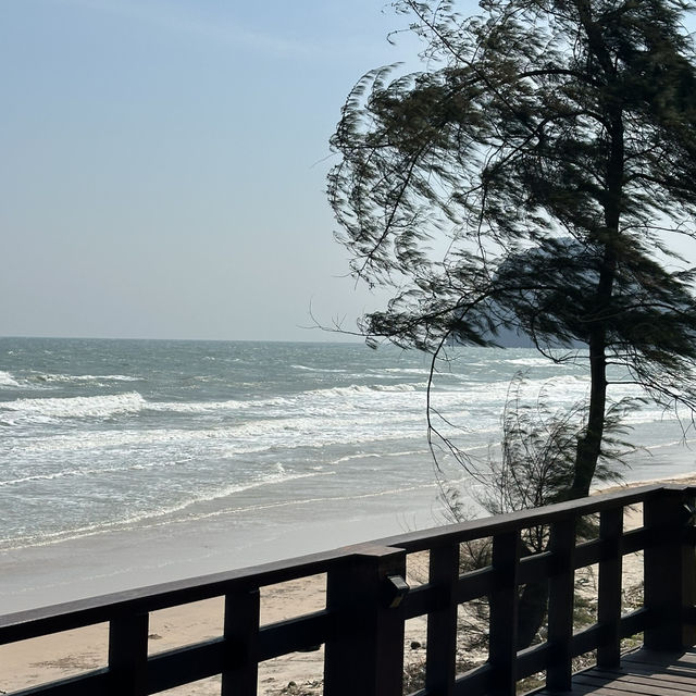 รีวิวสะพานเนินทราย ชุมพร  – มุมลับสุดชิลล์ 🌅🌴