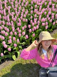 阿姆斯特丹🇳🇱 庫肯霍夫公園🌷 （Keukenhof）