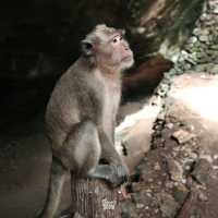 ไปสักการะสิ่งศักดิ์สิทธิ์ภายในถ้ำที่ จ.พังงากัน !!