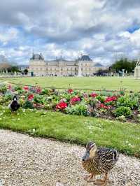 我最愛😍的法國🇫🇷盧森堡花園🌷