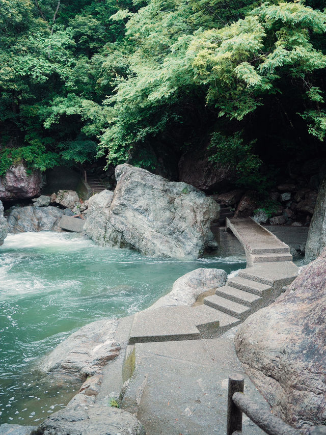 高知・中津渓谷県立自然公園🌿自然が織りなす癒しの絶景