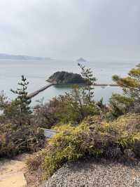 四國必到直島🥰藝術之島一日遊🙆🏻‍♀️