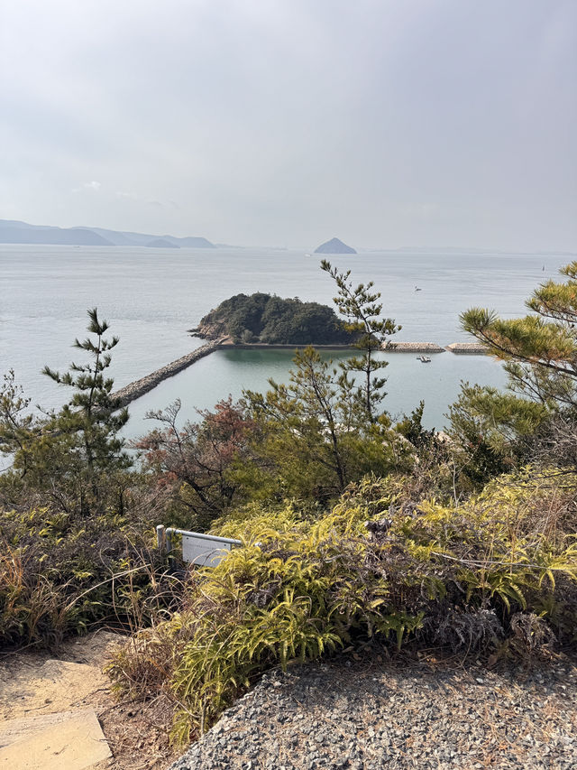 四國必到直島🥰藝術之島一日遊🙆🏻‍♀️