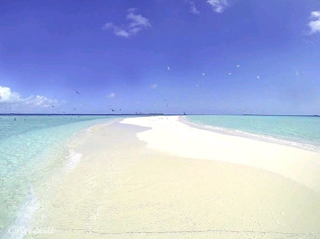 【モルディブ】モルディブでも安く泊まれる！「ウングーファールー島」