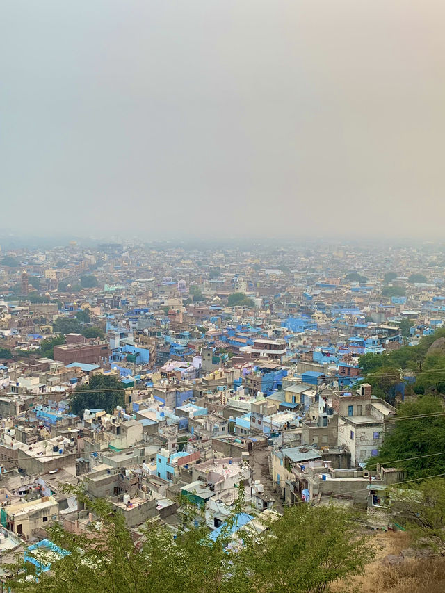 Pachetia Hill - Jodhpur City Viewpoint Hike 💙🦋