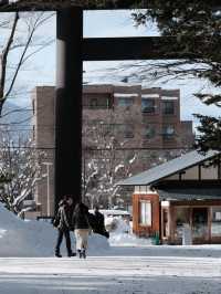 雪國的靜謐聖地—冬日北海道神宮參訪體驗