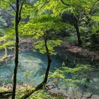 【青森県】十二湖〜神秘の青と自然〜
