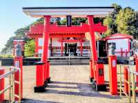 ☾︎鹿児島☽︎ 頭の上に釜を乗せて参拝する神社
