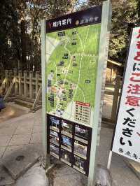 歴史と自然が融合する場所、『鹿島神宮』の魅力⛩️
