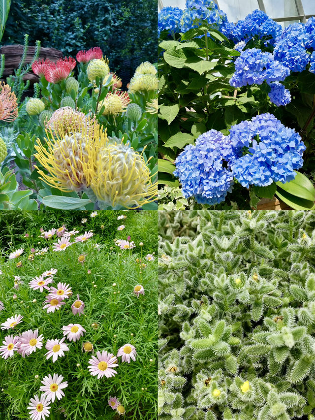 Where Technology Meets Nature at Garden by the Bay