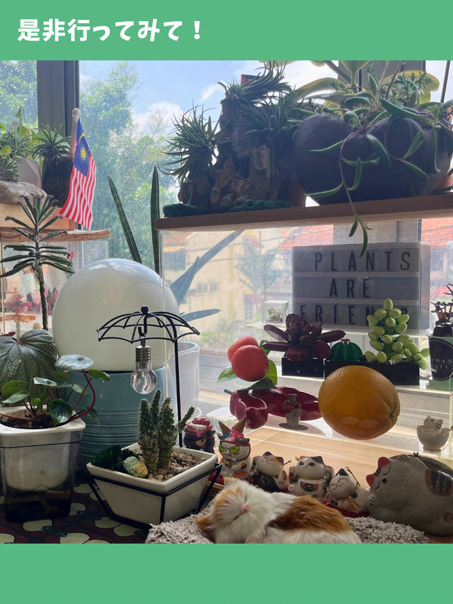 【マレーシア女一人旅】猫店員とゆったり過ごせる癒しの空間！植物溢れるカフェ！