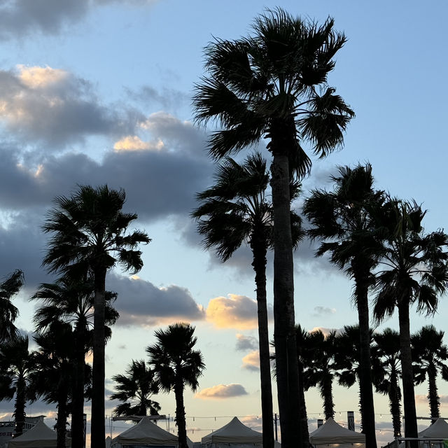 제주 동쪽 에메랄드 바다와 푸르른 해변 추천 🏖️함덕해수욕장