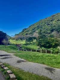 肉腳朝聖芒草勝地～二子坪步道&大屯山步道連走