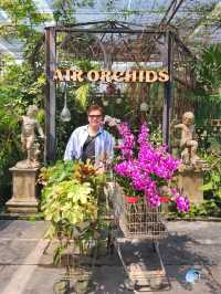 AIRORCHIDS SUPERMARKET