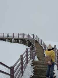 Dagu Glacier 