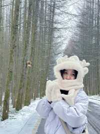 Guangwu Mountain, Nanjiang County