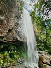 Journey Through Nature’s Wonderland: Warrie Circuit Adventure 🌿🌿