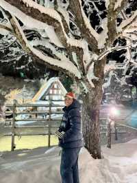 Hida folk village