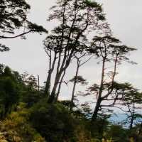 塔關山登山記-南橫三星的最美步道