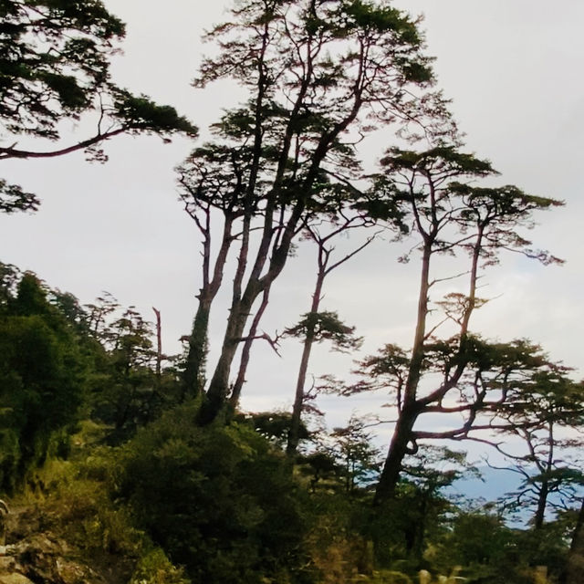 塔關山登山記-南橫三星的最美步道