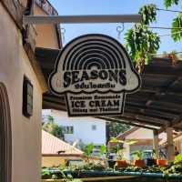 seasons icecream,cnx