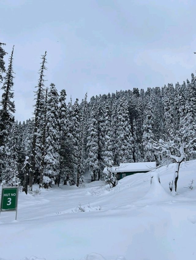 🏔️ Explore Gulmarg – A Paradise of Adventure & Beauty! ❄️