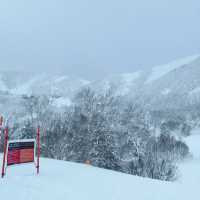 Unforgettable Powder at Furano Ski Resort 🇯🇵