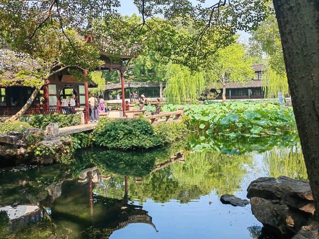 Suzhou Gardens