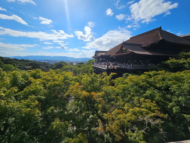 清水寺 & 祇園：京都最熱鬧的經典景點